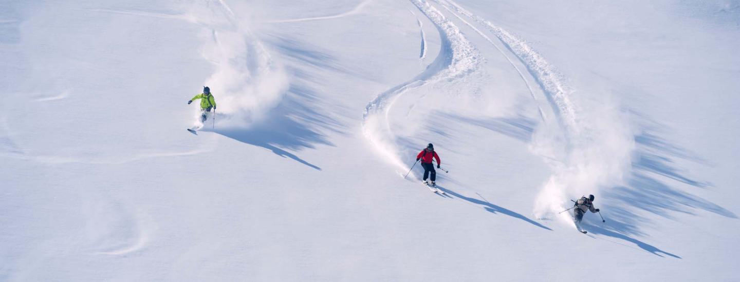 Downhill skiers
